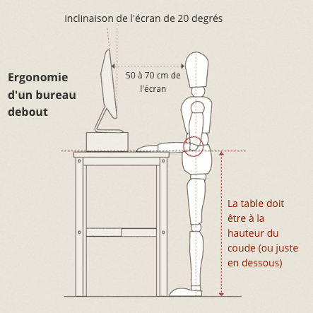 les bonnes dimensions d'un bureau debout